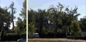 mythe-vormsnoei-1400x683